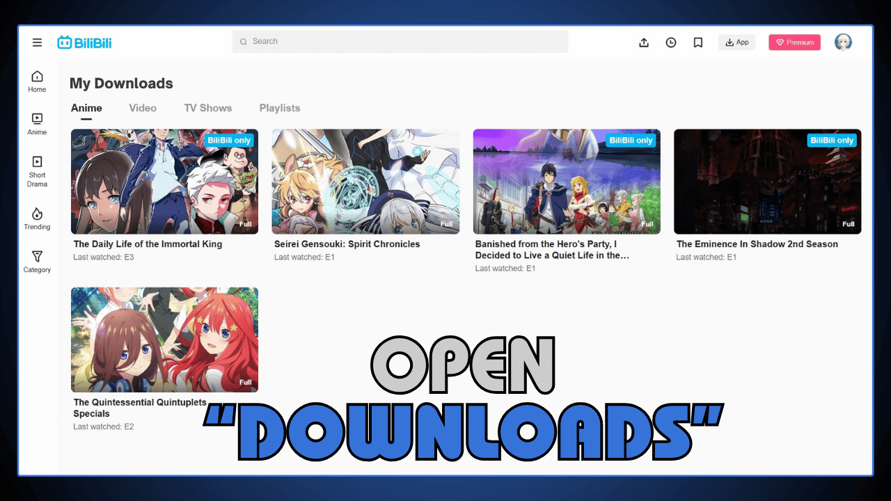 Open Downloads