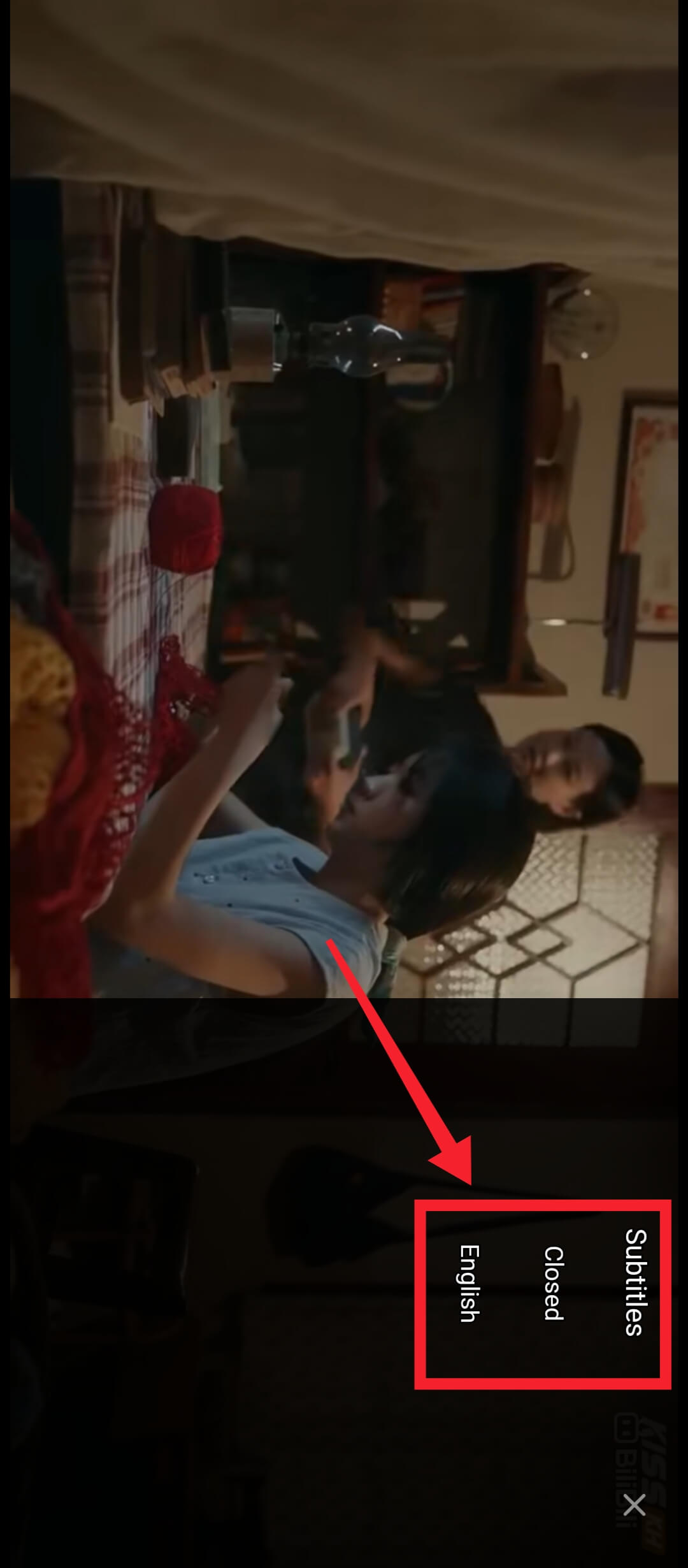 Set Subtitle Preferences