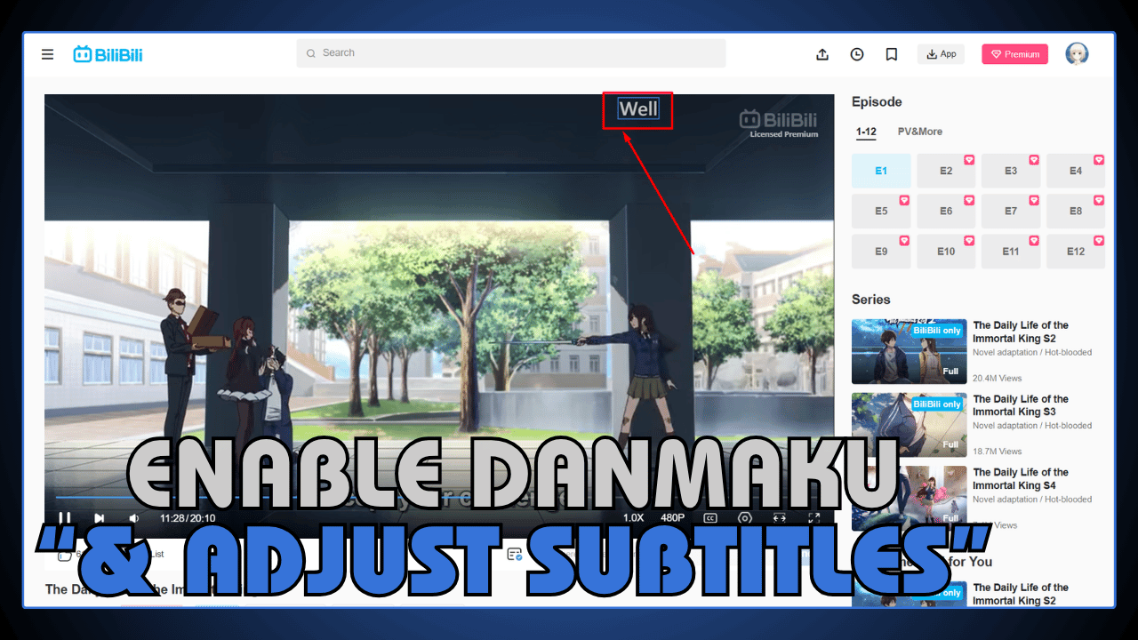 Enable Danmaku and Adjust Subtitles