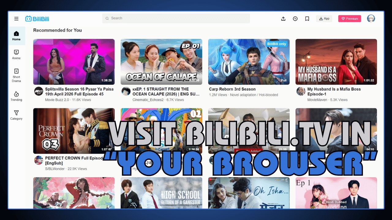 Visit bilibili.tv in Your Browser
